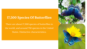 400359-butterfly-templates-21