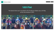 400403-preakness-stakes-23