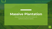 Massive Plantation Presentation and Google Slides Themes