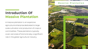 400415-presentation-on-massive-plantation-02