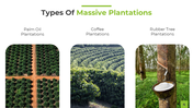 400415-presentation-on-massive-plantation-04