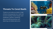 400421-world-reef-awareness-day-08