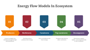 400427-energy-flow-models-in-ecosystem-02