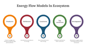 400427-energy-flow-models-in-ecosystem-04