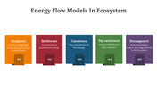 400427-energy-flow-models-in-ecosystem-05