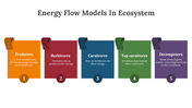 400427-energy-flow-models-in-ecosystem-07