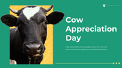 Cow appreciation day slides featuring cow conservation, breeds, and agriculture, with photos of cows and farming activities.