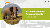 400580-national-elephant-appreciation-day-01