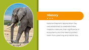 400580-national-elephant-appreciation-day-03