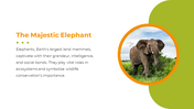 400580-national-elephant-appreciation-day-05