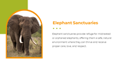 400580-national-elephant-appreciation-day-10