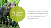 400580-national-elephant-appreciation-day-13