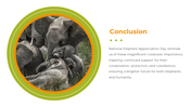 400580-national-elephant-appreciation-day-15