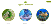 400582-national-reptile-day-06