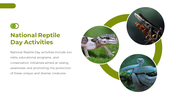 400582-national-reptile-day-13