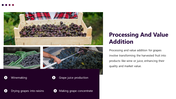 400903-supply-chain-for-grapes-production-08