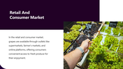 400903-supply-chain-for-grapes-production-10