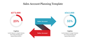 Download Sales Account Planning Template Presentation