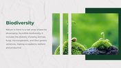 43060-nature-powerpoint-template-03