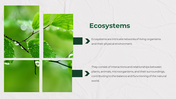 43060-nature-powerpoint-template-05