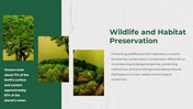 43060-nature-powerpoint-template-15