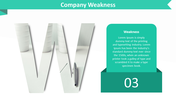 44315-company-profile-ppt-presentation-07