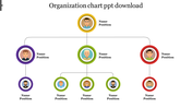 Detailed Organization Chart PowerPoint Download Template