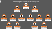 Sales organization chart slide with hierarchical structure and placeholders for text on a gray background.