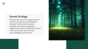 47145-forest-template-powerpoint-free-03