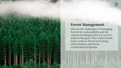 47145-forest-template-powerpoint-free-04