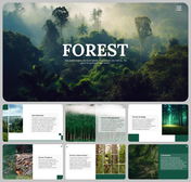 Forest themed slides with images of trees and on topics such as introduction, and forest conservation with text descriptions.