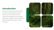 47338-forest-powerpoint-template-02