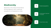 47338-forest-powerpoint-template-03