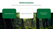 47338-forest-powerpoint-template-04