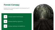 47338-forest-powerpoint-template-07