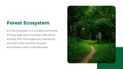 47338-forest-powerpoint-template-09