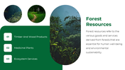 47338-forest-powerpoint-template-10