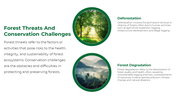 47338-forest-powerpoint-template-11