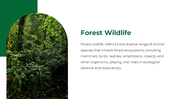 47338-forest-powerpoint-template-12