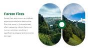 47338-forest-powerpoint-template-13