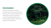 47338-forest-powerpoint-template-15