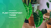 Plant themed slide featuring large green leaves in potted plants with text overlay on a translucent green background.