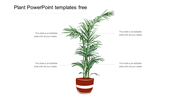 Creative Plant PowerPoint Templates Free Download Slides