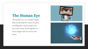 47528-eye-template-03