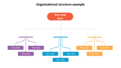 Organizational Structure Example PPT and Google Slides