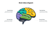 Colorful brain lobe illustration in yellow, green, teal, and purple with corresponding text sections around it.