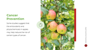 477500-apple-fruit-powerpoint-template-14