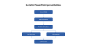 Genetic process diagram showing steps from DNA to cell function, RNA, proteins, structure, and enzymes.