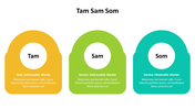 500001-tam-sam-som-08