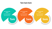 500001-tam-sam-som-27